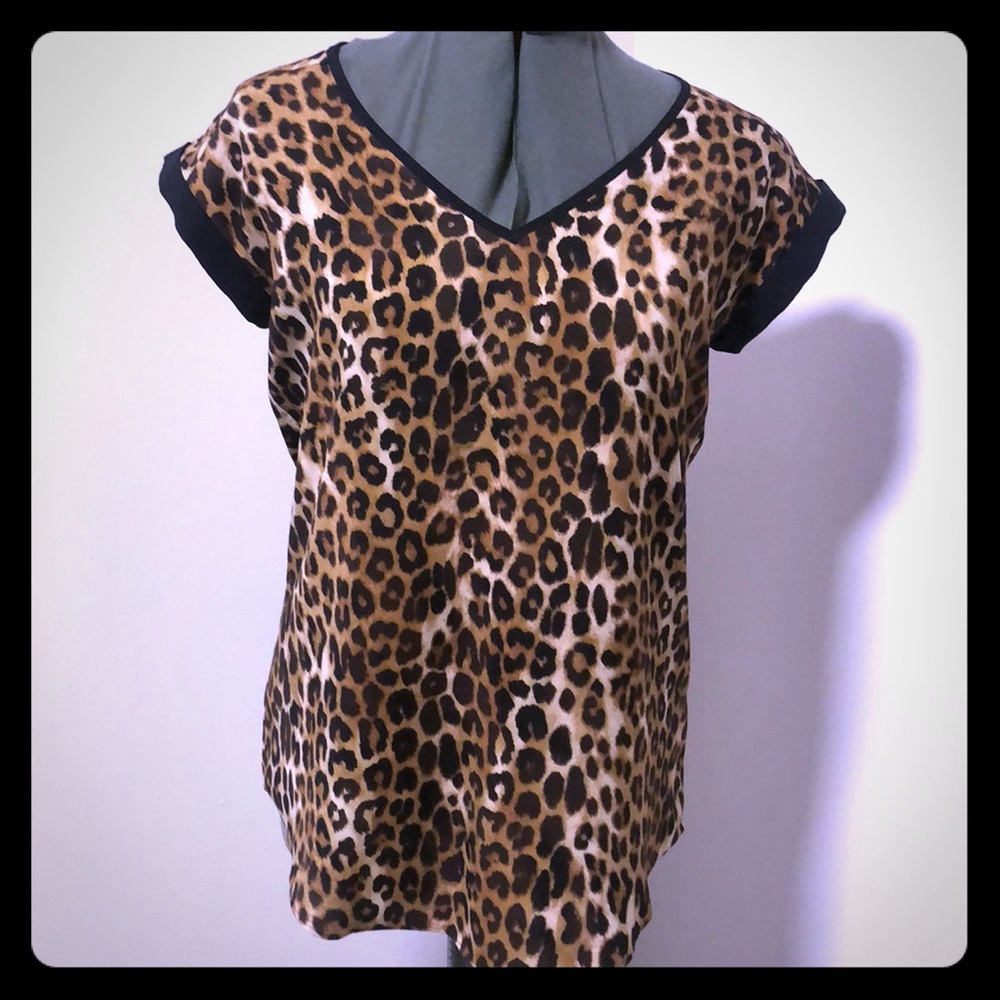 Express Silk Top